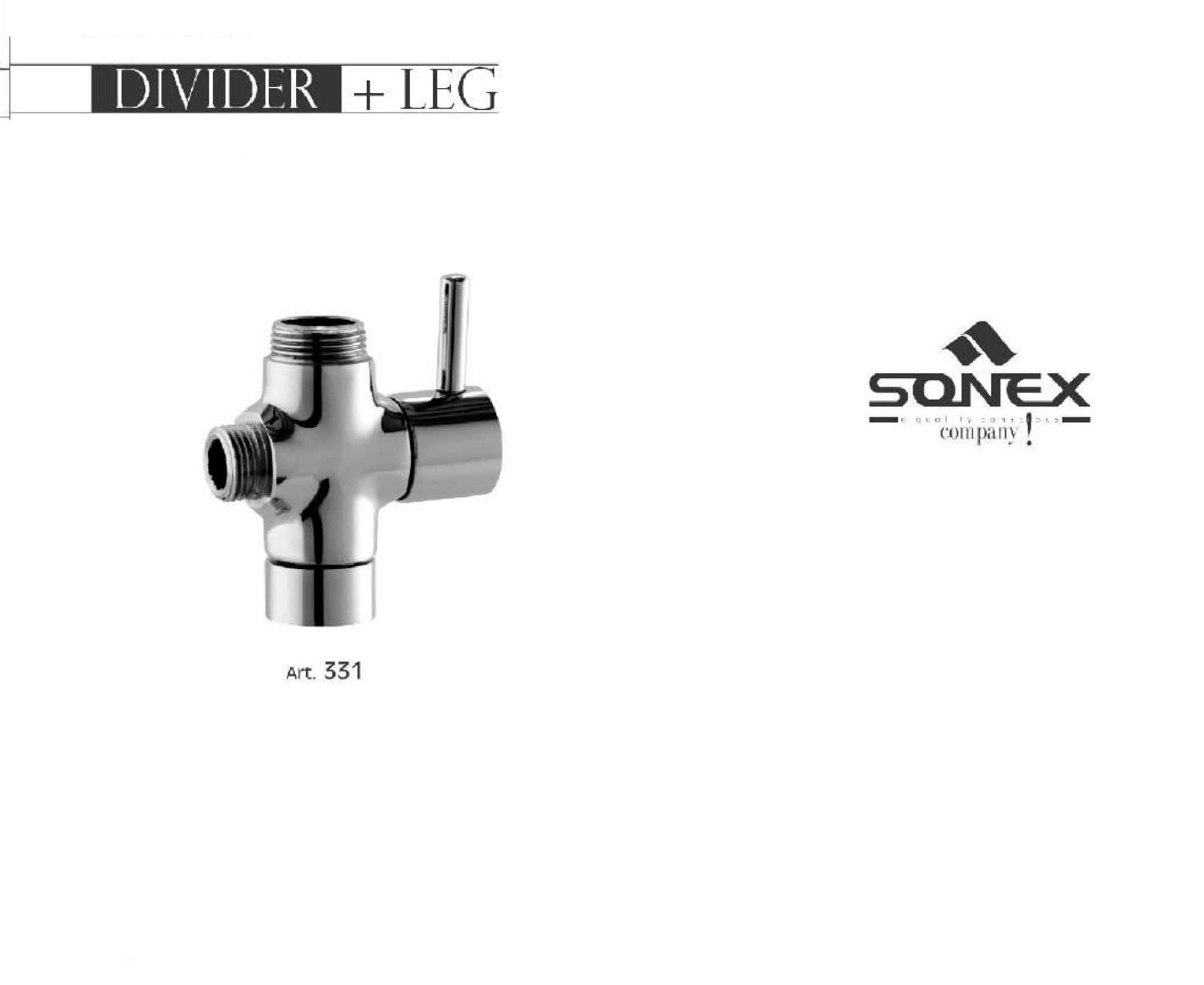 Divider Regular 331 image