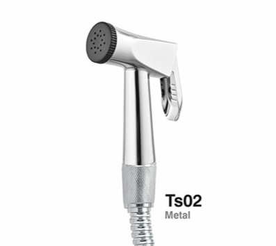 Ts02 (Metal)
